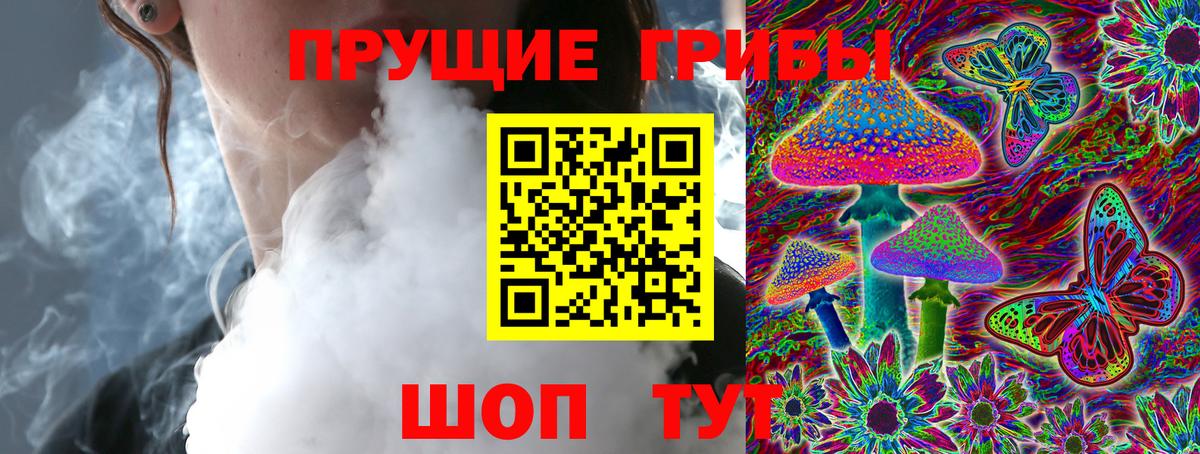 Калининград  Псилоцибиновые грибы MAGIC MUSHROOMS  Галлюциногенные грибы Psilocybine cubensis  Вход с VPN 