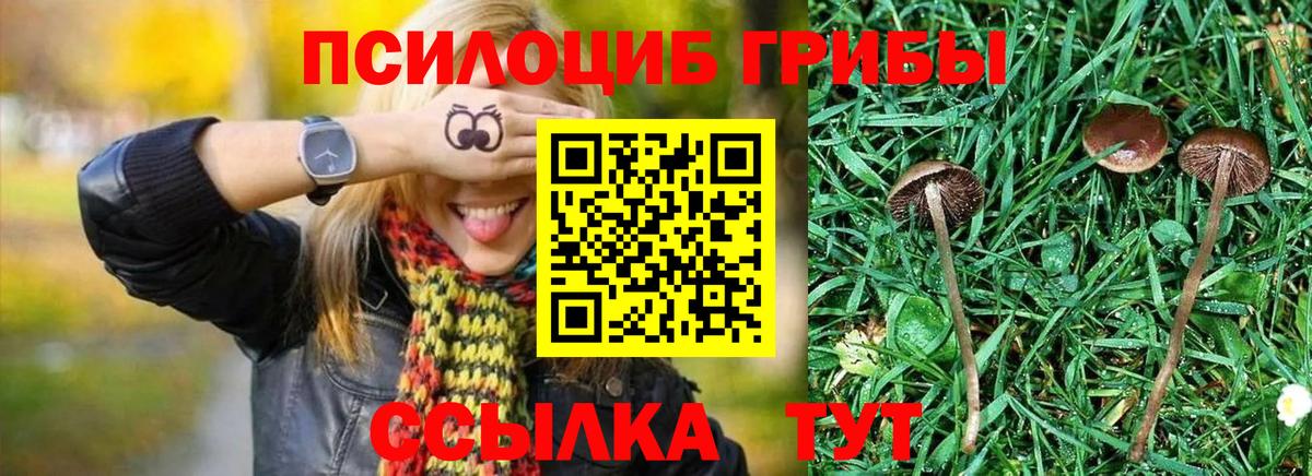 Галлюциногенные грибы ЛСД Калининград